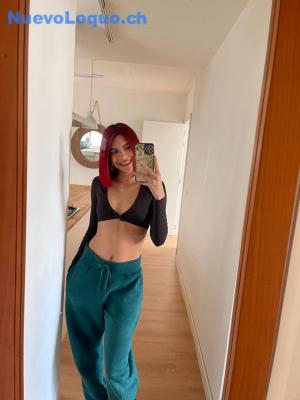 NuevoLoquo3
