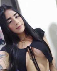 Trans Britanny Vegas super top venezolana